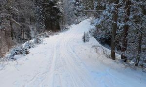 "Akt skrajnej bezmyślności". Urzędnicy aż się gotują. Pokazali zdjęcia