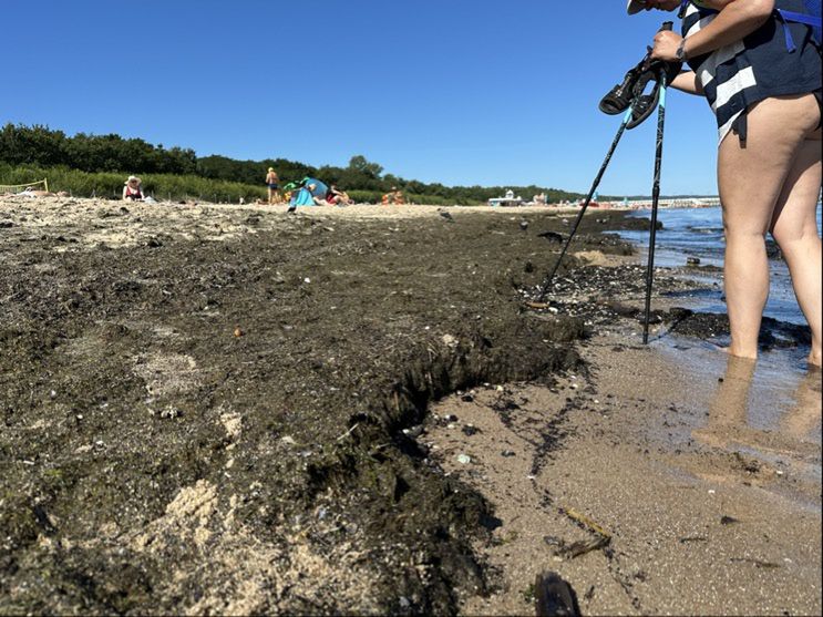 Plaża Brzeźno
