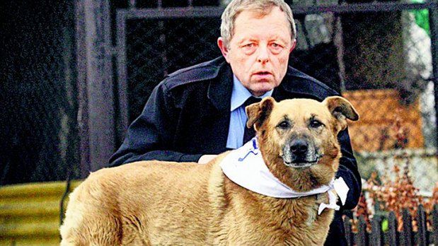 Cypek nie boi się ludzi, ale odczuwa strach przed burzą