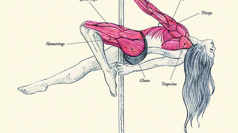 Takie plakaty będzie można zobaczyć w krakowskich tramwajach od czwartku