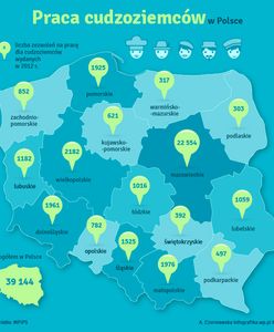 Obcokrajowcy zalewają polski rynek pracy