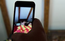 Złote perspektywy dla pornobiznesu