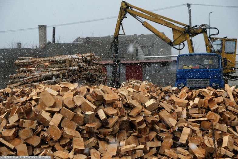 Tusk pyta PiS o polskie drewno i lasy. "Zarżnęliście dumę polskiego przemysłu"