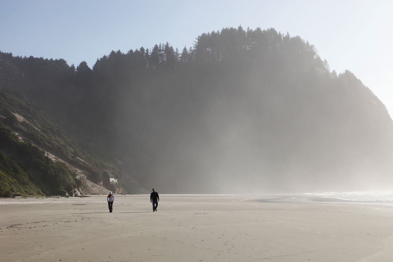 Rare fin whale carcass becomes a coastal classroom in Oregon