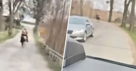 Spadł z konia w trakcie ucieczki. "Galopował w stronę słońca"