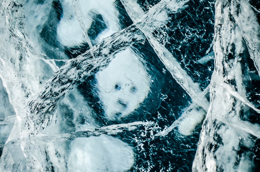 Prix de la Photographie Paris 2014. Polacy wśród nagrodzonych 27