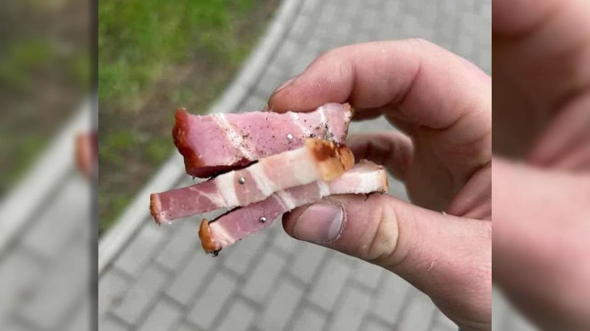 Boczek z gwoździami