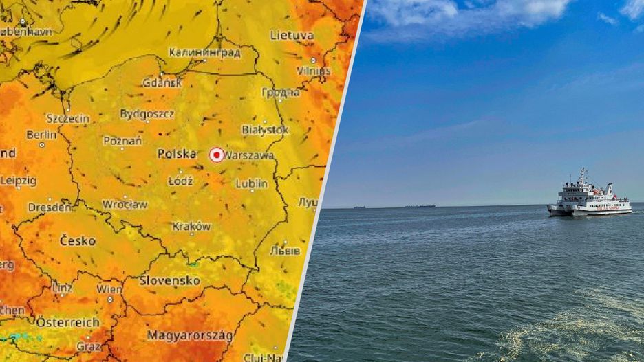GUS opublikował najnowsze dane dotyczące powierzchni kraju