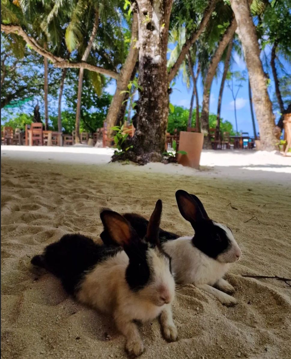 Agnieszka Radwańska relacjonuje rajskie wakacje