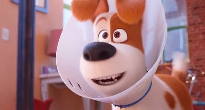 Nadchodzi film "Sekretne życie zwierzaków domowych 2"