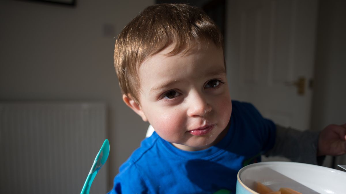 Boy Eating Fruit from bowl
Image of a young boy using a spoon to eat food at the dinner table at home leaning in with a curious look on his face.
Steven Robinson Pictures
Colour Image