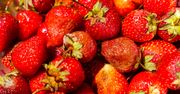 Takich truskawek nie można jeść. Ekspertka ostrzega przed poważnymi konsekwencjami