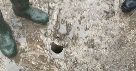 Odkrycie w Kaliszu. Służby szybko namierzyły "właściciela"