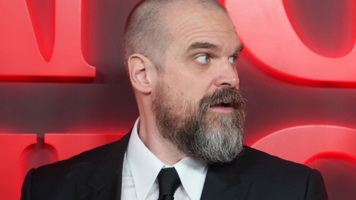 David Harbour w ogniu krytyki. Przed wybuchem afery mówił o "bólu i błędach"