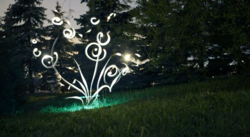 Światło zamrożone w magicznym lesie - piękny film poklatkowy z Canona 5D Mark II