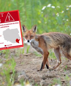 Wydano alert RCB. Obowiązuje w jednym województwie