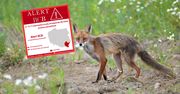 Wydano alert RCB. Obowiązuje w jednym województwie