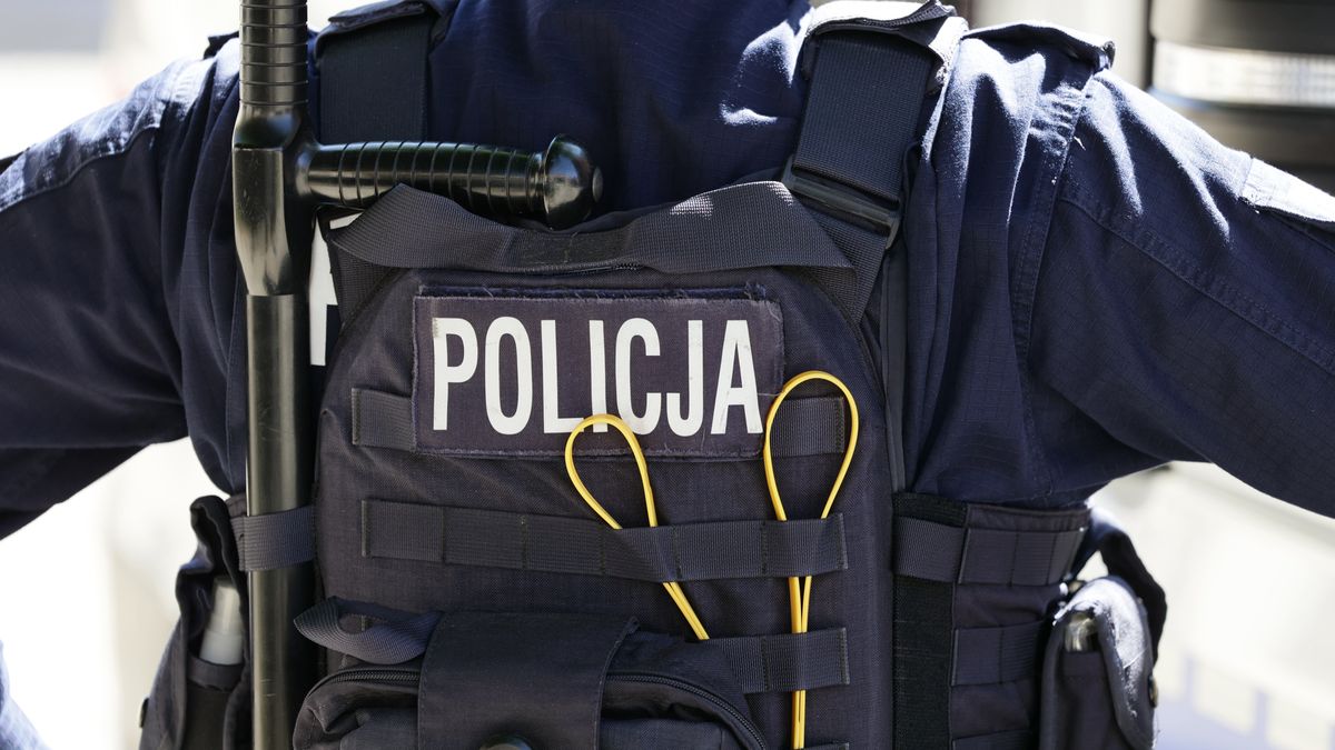 bojowa, drużyna, policja, akcja, policjanci, w akcji, pistolet, wojsko, mundurowy, glina, swot, specjalsi, armia, ukraina, wojna, rosja, kijów, policjant, mundury, kamuflaż, broni, karabiny, w szyku, bojowym, kamizelka, kamizelki, obrona, policyjna, mundurowi, spap, kontr, anty, szyk bojowy, at, granat, gaz, na ostro, polska, terror, policyjny, kontratak, zagrożenie