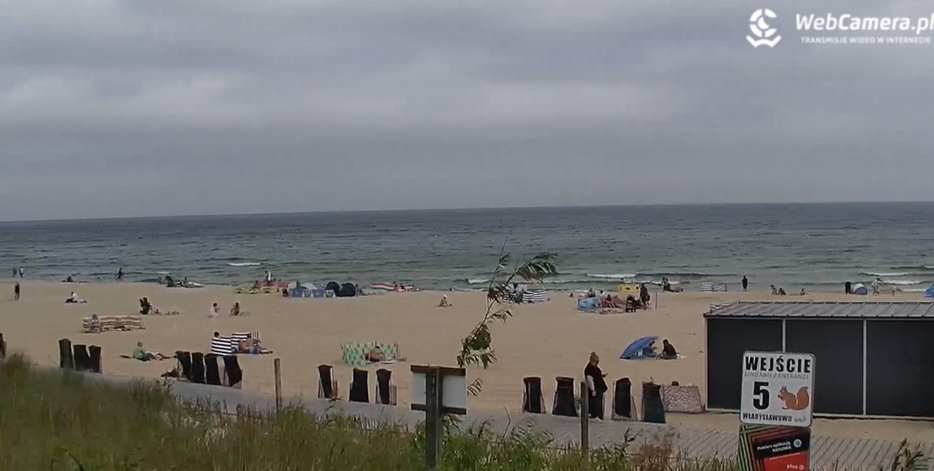 Poniedziałek przed południem. Zaskakujący widok na polskiej plaży