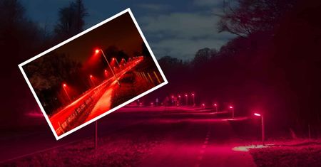 Kraj przybrał czerwony kolor. Jest jeden powód