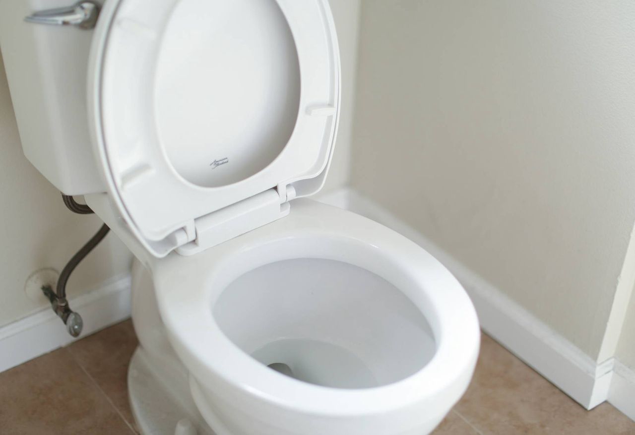 A spotless loo: Harnessing home remedies for hygiene