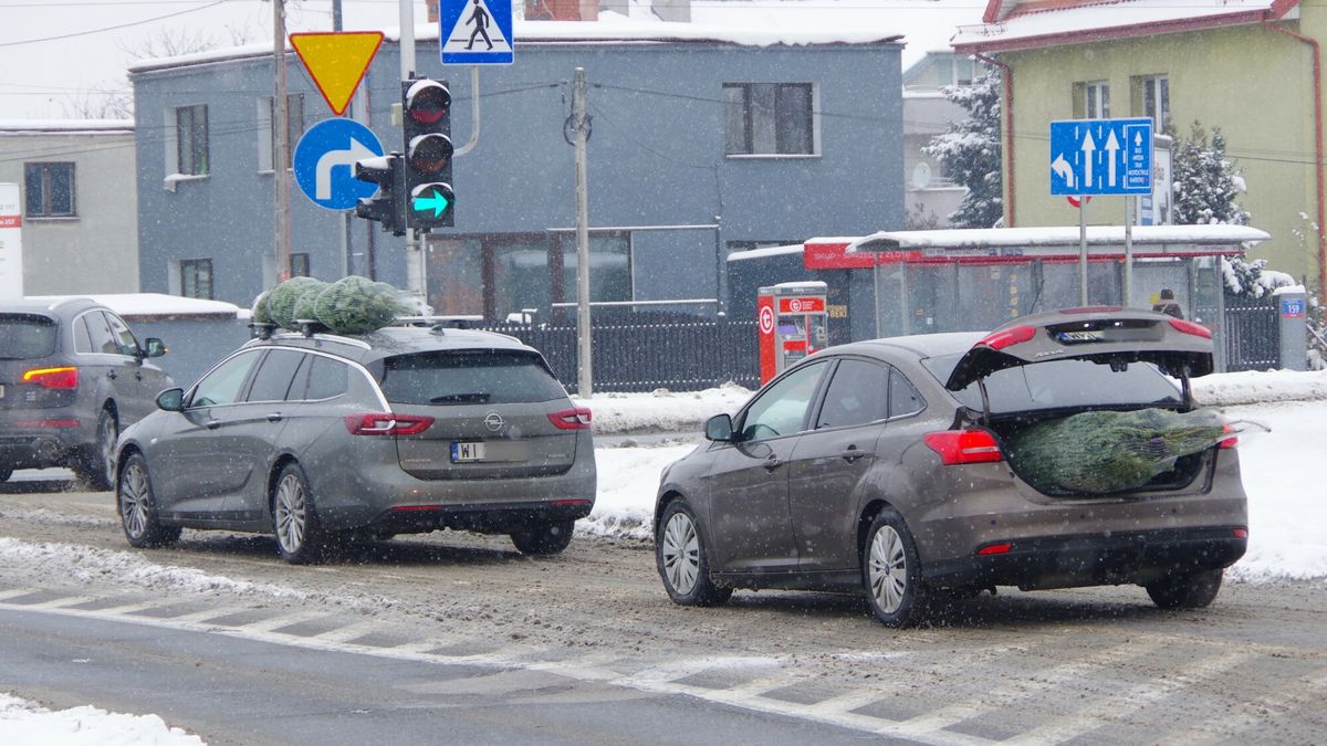Jak bezpiecznie przewieźć choinkę?