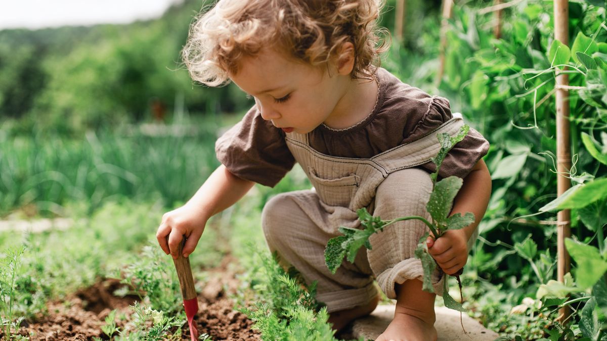 Kobieta pozwalała córce bawić się samej w ogrodzie 