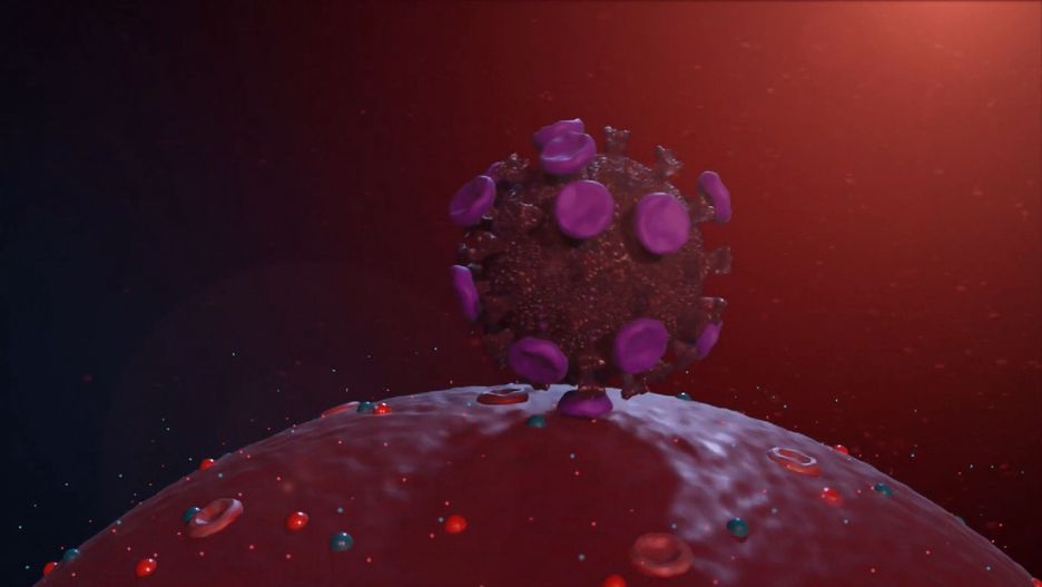 Koronawirus Australia. Granica między dwoma stanami zamknięta