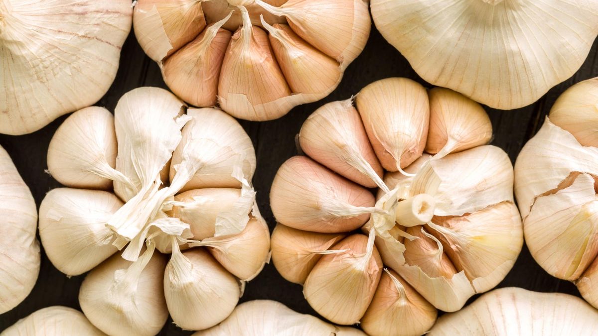 Wiosną każdy czosnek pozostawiony w cieple, kiełkuje 