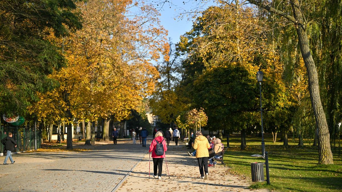 Polska jesie? 2024
25.10.2024 Inowroclaw. Zlota Polska jesien w Inowroclawskim Parku Solankowy z tezniami.
Fot. Jacek Slomion/REPORTER
N/z
Jacek Slomion/REPORTER