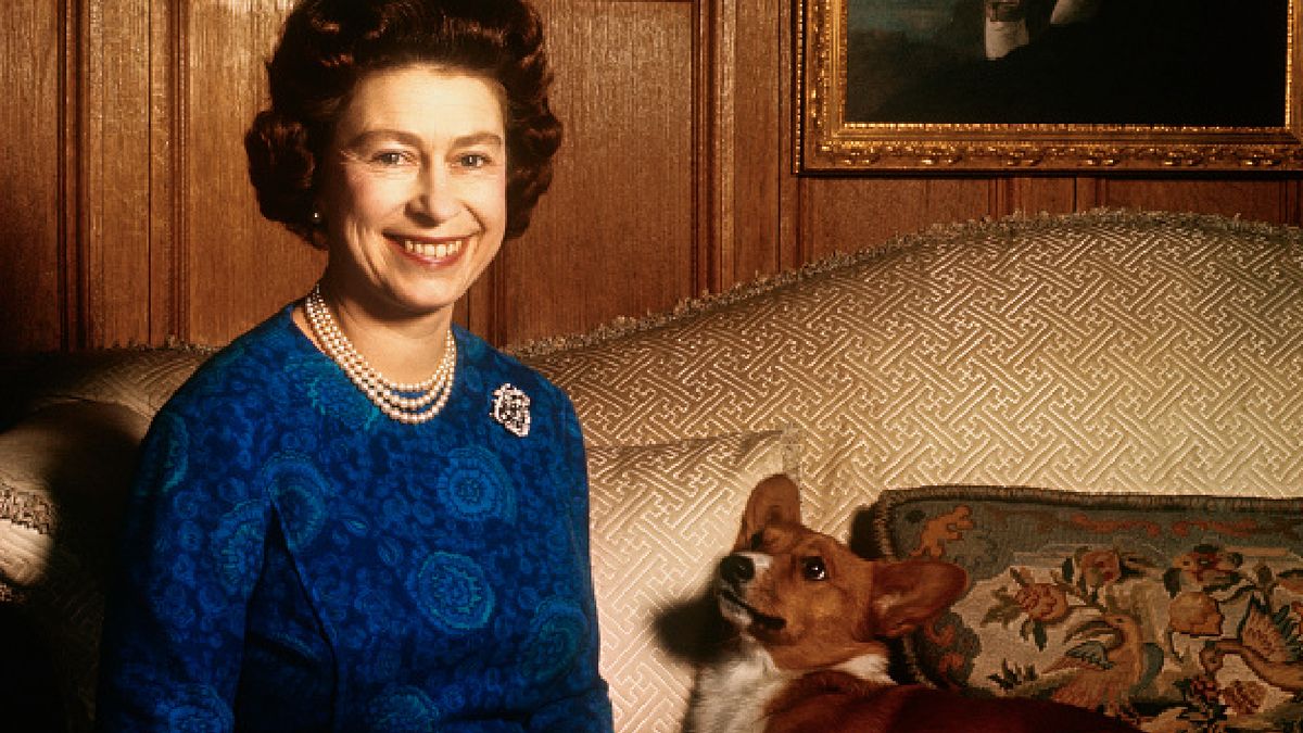 Królowa Elżbieta II kochała psy rasy corgi.