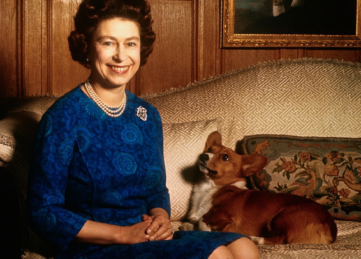 Psy rasy corgi. Oto dlaczego królowa Elżbieta II tak je uwielbiała