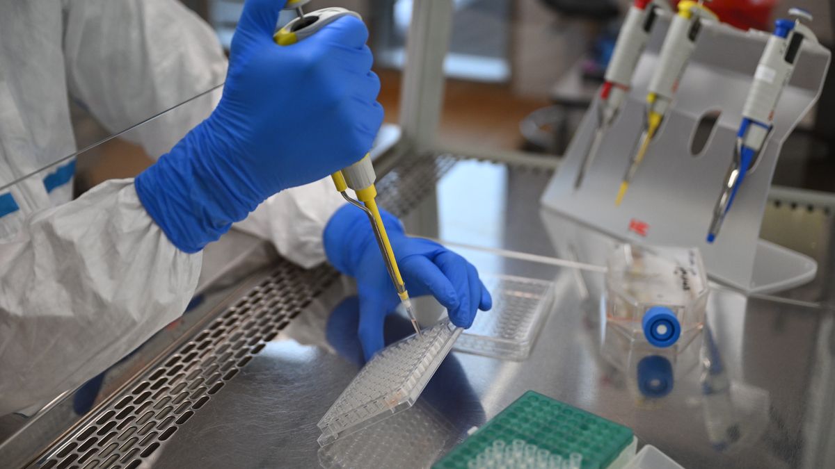 laboratorium
Adam War�awa
badanie, bezpiecze�stwa biologicznego, BSL3+, laboratorium, niebezpieczne, otwarcie, Uniwersytet Gda�ski, wirusy, bezpiecze�stwo, bilogiczne, Biological Safety Level, biomedyczne, laboratorium biotechnologiczne, laboratorium biotechnologicznym, patogen ludzki, poziom, pozion, przenoszone drog� kropelkow�, wirus, zaawansowane procedury bezpiecze�stwa