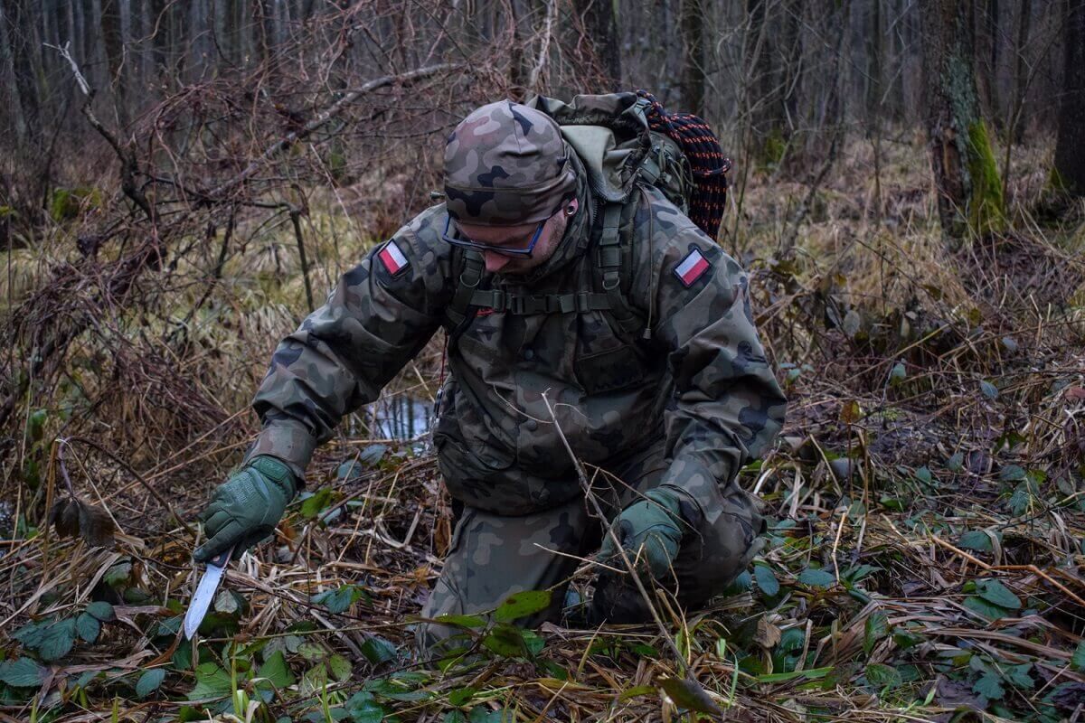 survival, strzelec, las