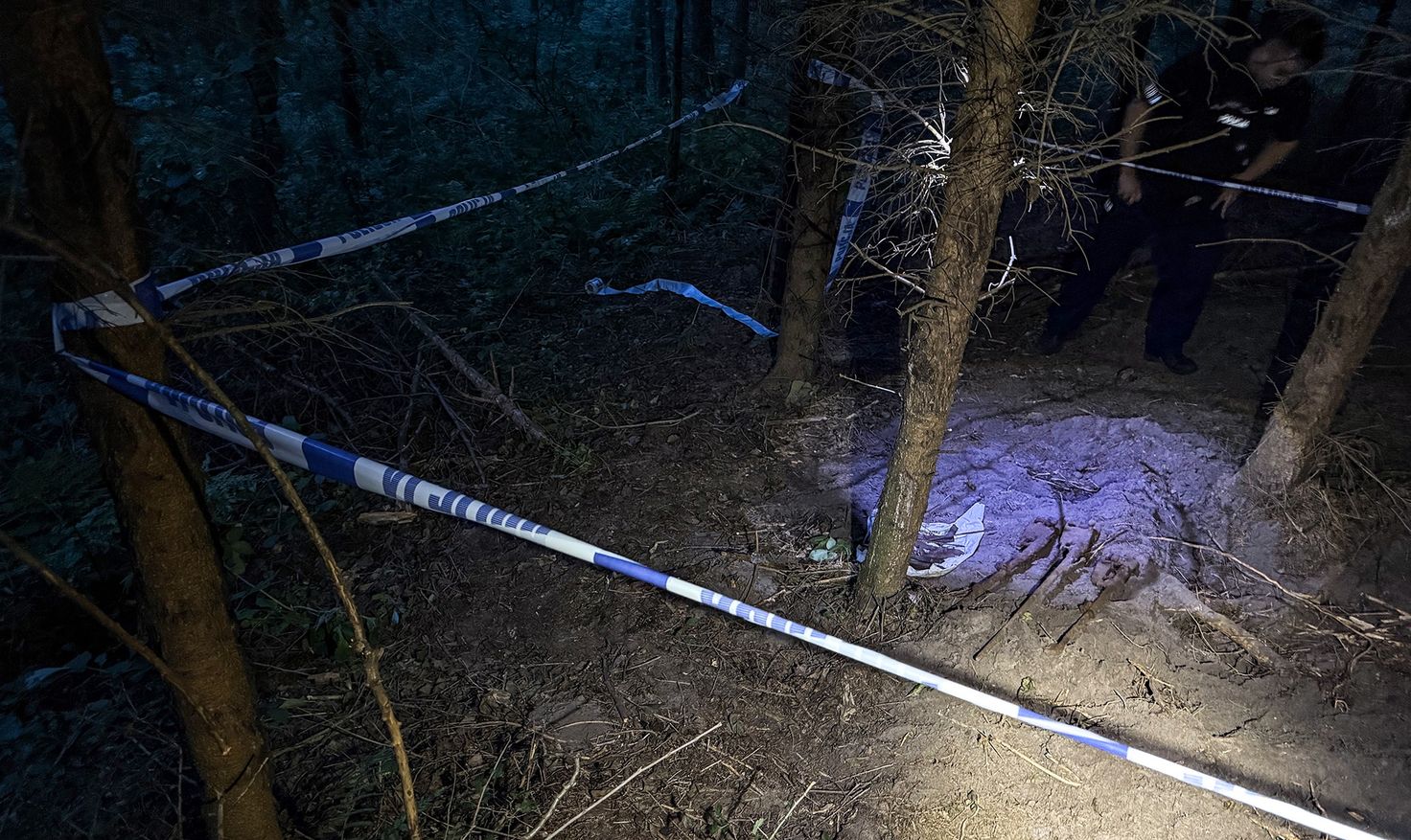 Niezwykłe odkrycie stowarzyszenia z Nietuszkowa. W lesie znaleźli trzy wojenne karabiny