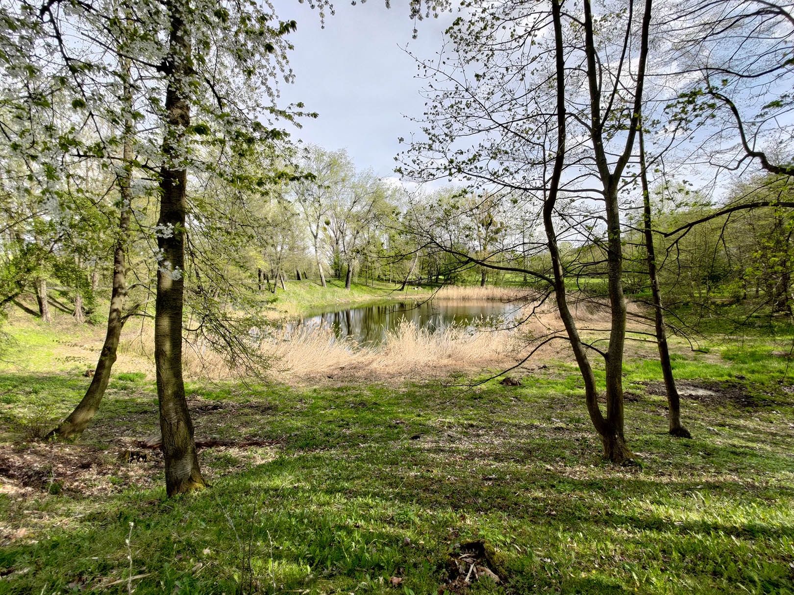 aparat ultraszerokokątny