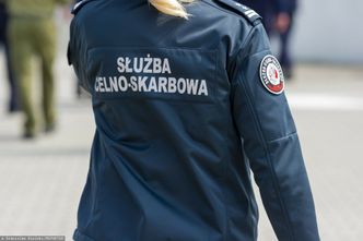 Międzynarodowy gang rozbity. Wyłudzali VAT w całej Europie