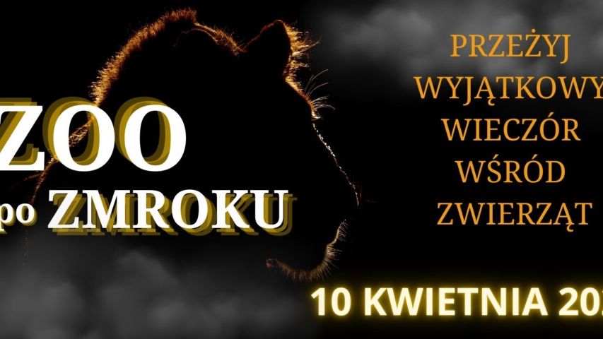 ZOO po zmroku 