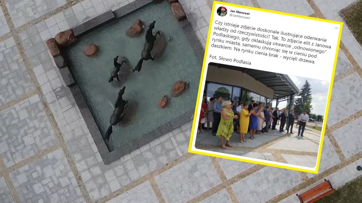 Janów Podlaski. Wycięli prawie setkę drzew, by postawić fontannę 