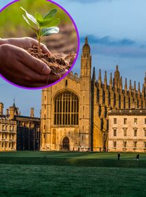 Studenci Cambridge zdecydowali. Żądają wegańskiego menu