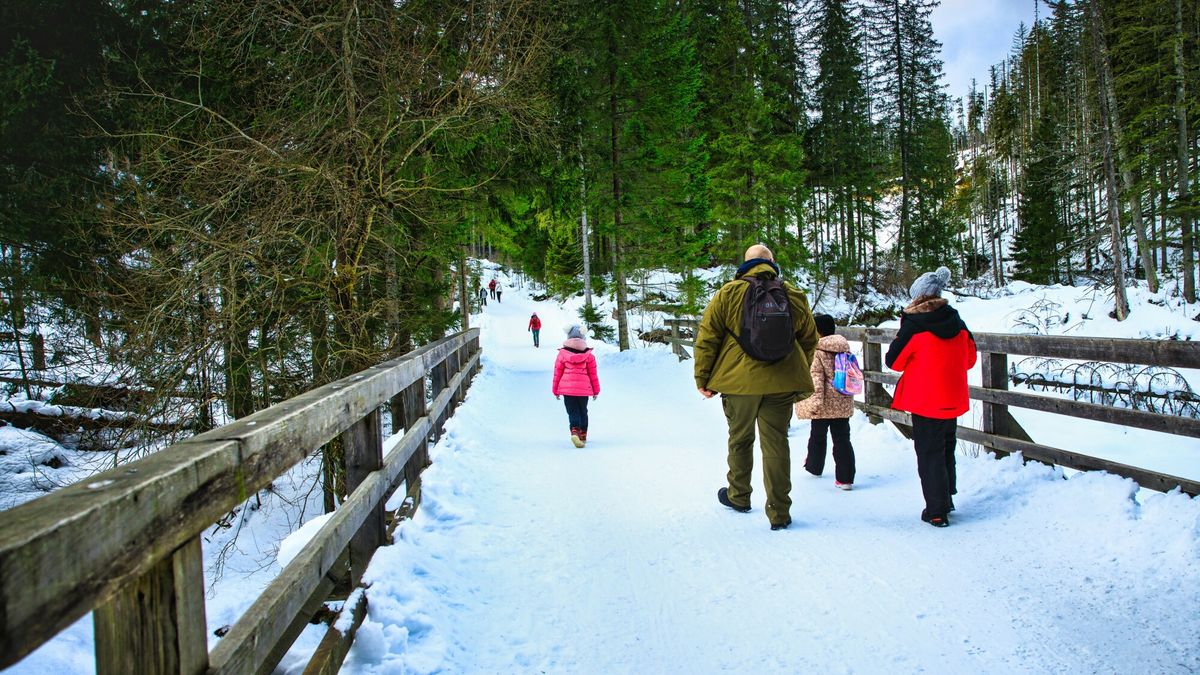 Koniec bezkarności w sieci? Park narodowy zatrudnił "cyberstrażnika"