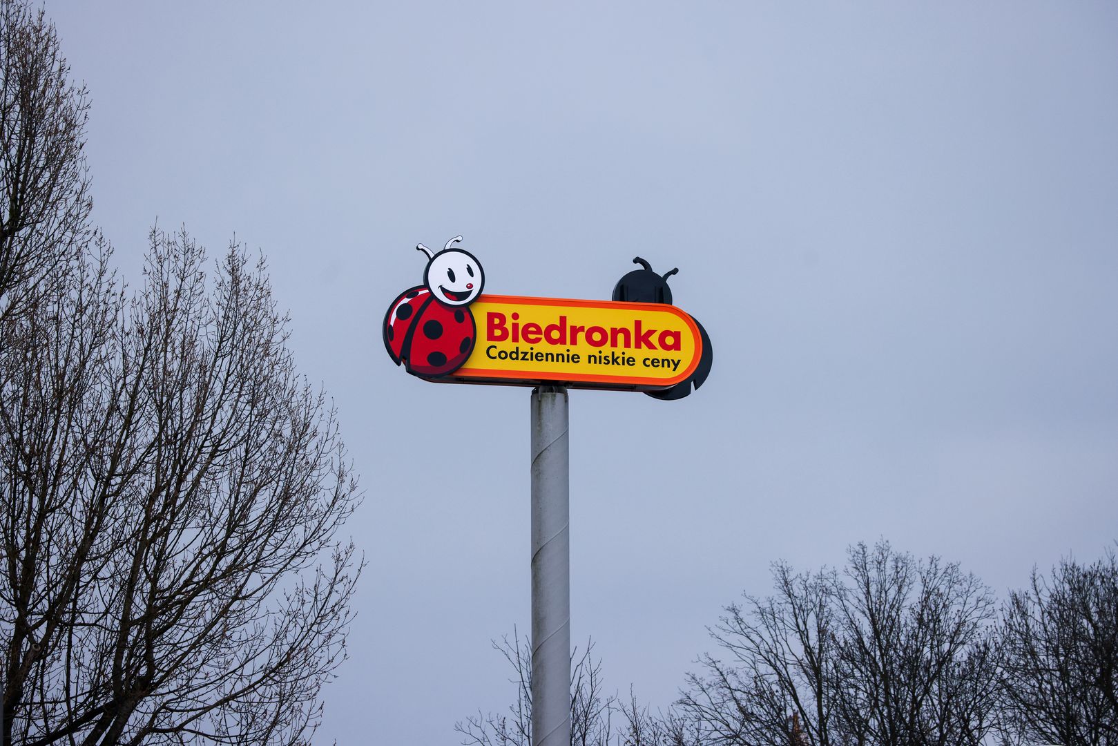 Biedronka znów to robi. "1+1 gratis"