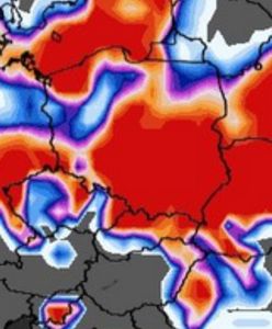 Śnieg w całym kraju. Zimowa pogoda nie odpuszcza