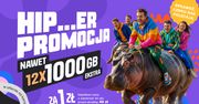 Nowa promocja Mobile Vikings: nawet 12 x 1000 GB ekstra i pierwszy miesiąc za 1 zł!