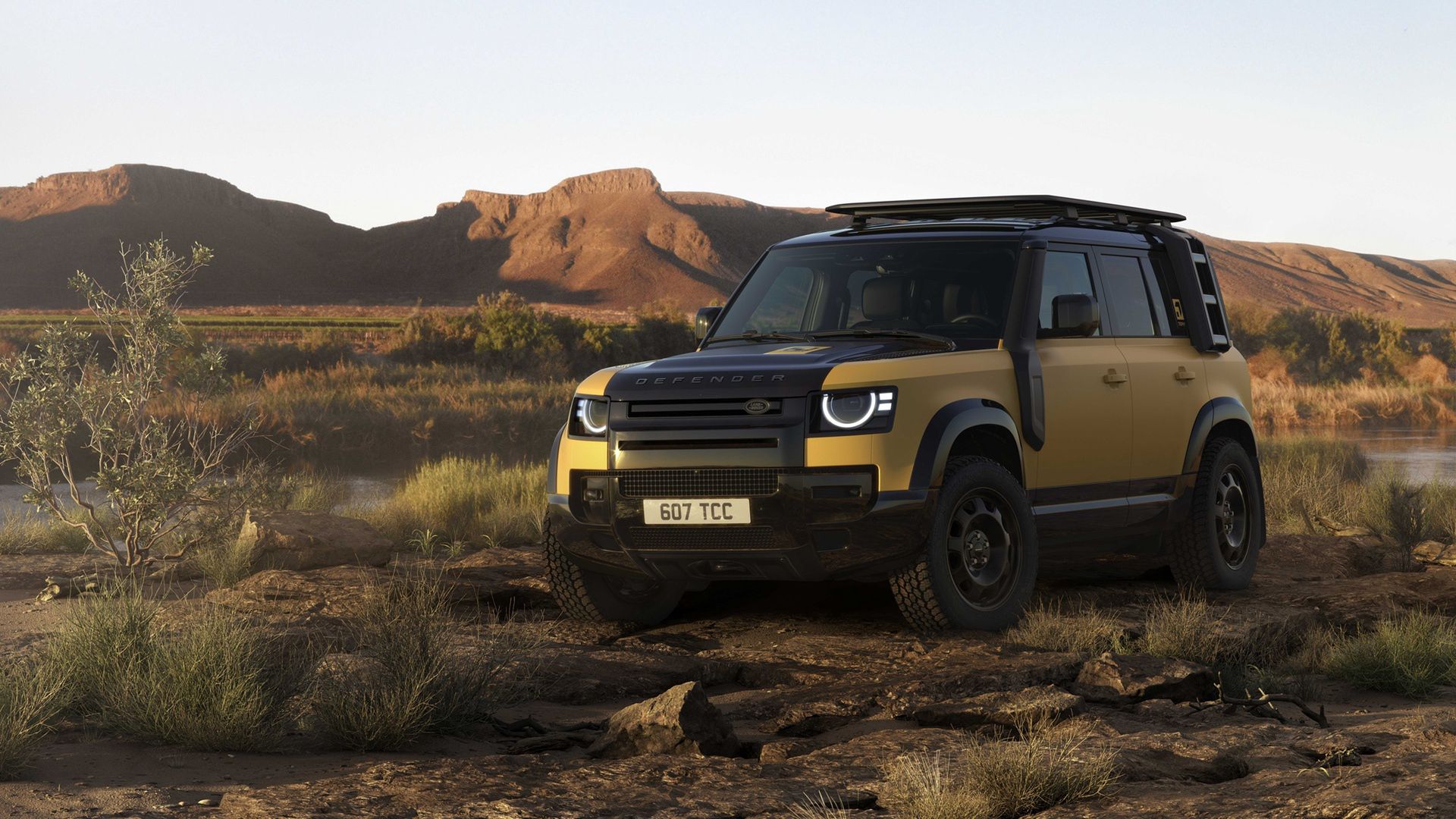Defender 110 Trophy Edition