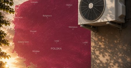 Klimatyzacja nas nie uratuje. Najlepszy sposób na upały w miastach to przyroda