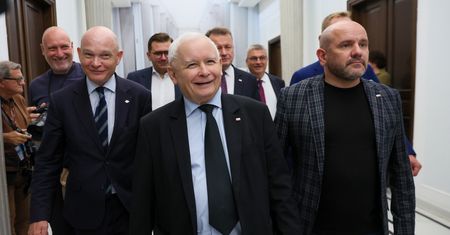 PiS zmieni nazwę przez utratę subwencji? "Czuje sprawę nosem"