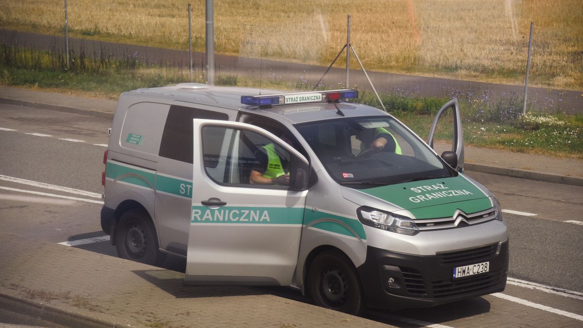 Straż Graniczna zatrzymała na lotnisku 15 cudzoziemców