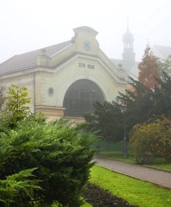 Polska atrakcja znów dostępna. Za bilet trzeba zapłacić 82 zł