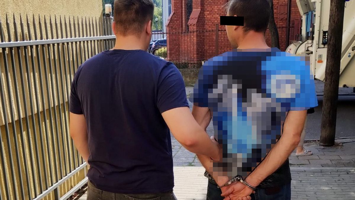 Pies pogryzł biegacza w Bydgoszczy 